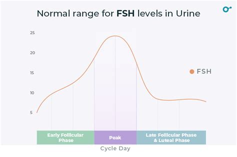 lv lh|normal fsh and lh levels.